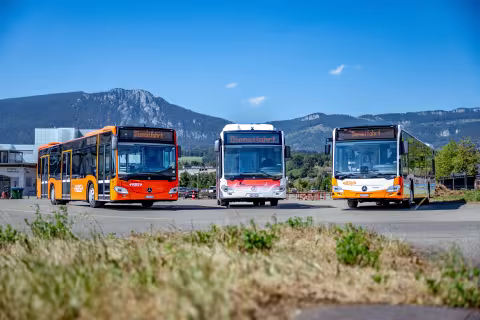 Symbolbild BSGU- und RBS-Busse